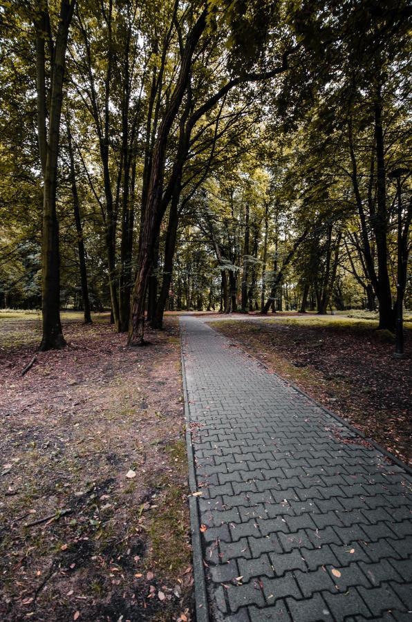 Apartament Deluxe Arcon Siemianowice Śląskie Eksteriør billede